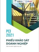 Phiếu Khảo Sát Doanh Nghiệp Dân Doanh 2021 Mẫu B