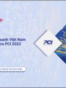 Bài Trình Bày PCI 2022 Của Ông Đậu Anh Tuấn