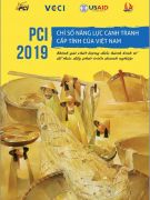 Báo cáo PCI 2019