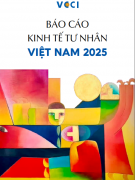 Báo cáo PCI 2025