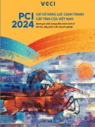 Báo cáo PCI 2024