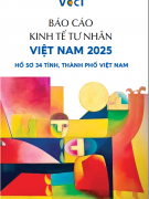 Báo cáo Hồ sơ tỉnh 2025