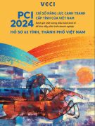 Báo cáo Hồ sơ tỉnh PCI 2024
