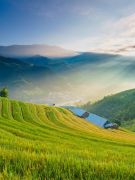 Quyết định Về việc thành lập Ban chỉ đạo cải thiện môi trường đầu tư, nâng cao chỉ số PCI tỉnh Lào Cai