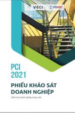 Phiếu Khảo Sát Doanh Nghiệp Dân Doanh 2021 Mẫu B