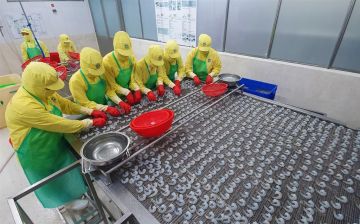 Cà Mau triển khai chương trình cải thiện môi trường kinh doanh năm 2026