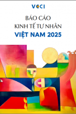 Báo cáo PCI 2025