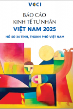 Báo cáo Hồ sơ tỉnh 2025