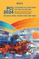 Báo cáo Hồ sơ tỉnh PCI 2024