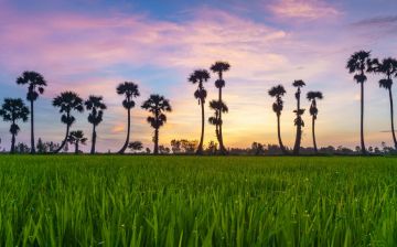 An Giang cải thiện môi trường kinh doanh, nâng cao năng lực cạnh tranh cấp tỉnh (Chỉ số PCI) gắn với đẩy mạnh thu hút đầu tư và hỗ trợ doanh nghiệp trên địa bàn tỉnh An Giang năm 2026