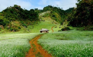 Sơn La: Tập trung triển khai giải pháp chủ yếu cải thiện môi trường kinh doanh, nâng cao năng lực cạnh tranh quốc gia năm 2026
